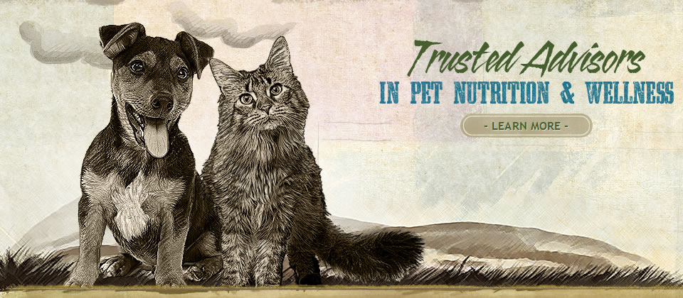 Trusted Advisors in Pet Nutrition & Wellness